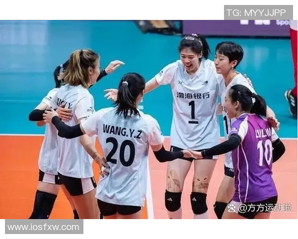 成都排球队节奏对比分析揭示战术优势与未来发展潜力