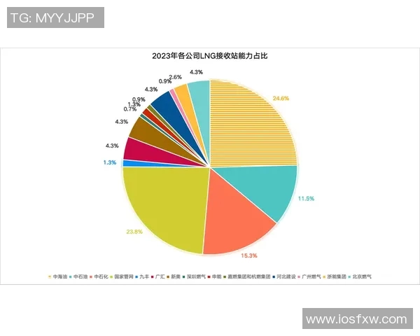 数据分析揭示LNG市场节奏变化及其对未来趋势的影响