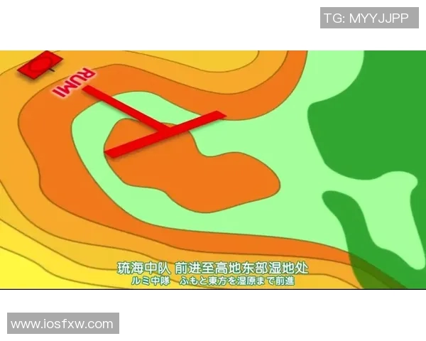 武汉羽毛球队节奏打法深度解析与战术优势剖析