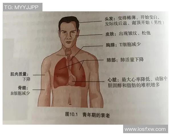 武汉乒乓球队耐力对比深度分析揭示训练效果与运动表现的关系