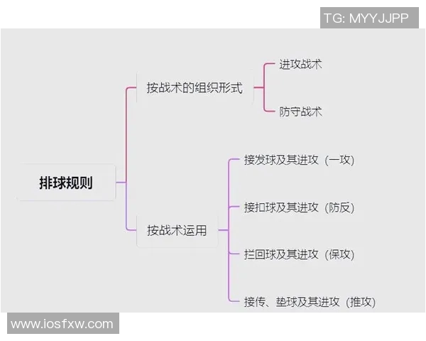 重庆排球队反击战术分析与比赛表现的得失评估