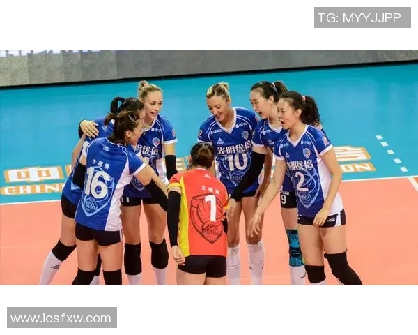 上海排球队意识变革引发热议推动球队新发展与未来挑战