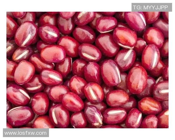 吴强独家分享篮球心得与技巧助你提升球技的全面指南 吴强独家分享篮球心得与技巧助你提升球技的全面指南