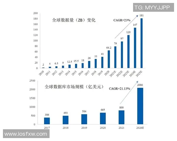 南京篮球队力量表现的数据分析与战术优化研究 南京篮球队力量表现的数据分析与战术优化研究