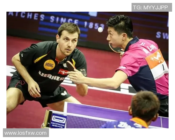 对话杨磊：回顾乒乓球生涯中的辉煌与挑战