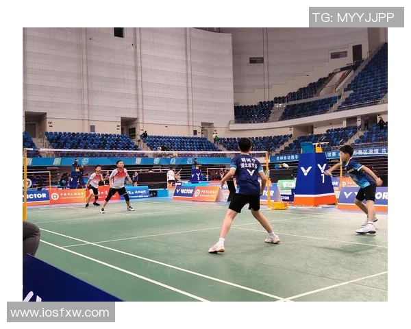 羽毛球热议聚焦杭州羽毛球队技术争议与未来发展方向探讨