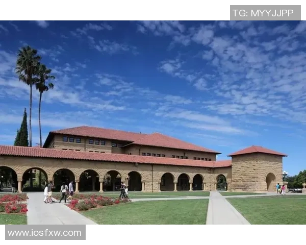 赖斯的崛起与影响力探讨：从学术界到政坛的多重角色解析