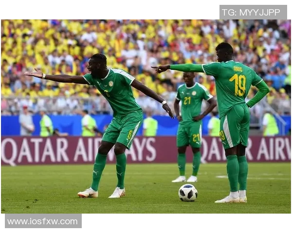 巴西与法国足球历史对阵回顾及精彩瞬间分析