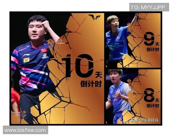 北京乒乓球队节奏创新高引发全国关注乒乓球运动热潮再度升温MBA