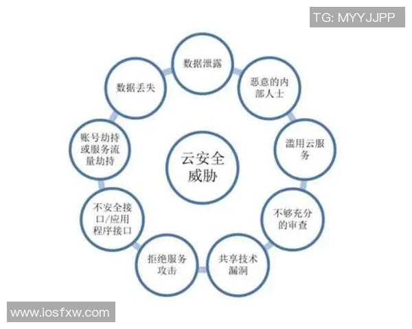 广州网球队实力深度解析与对比分析探讨